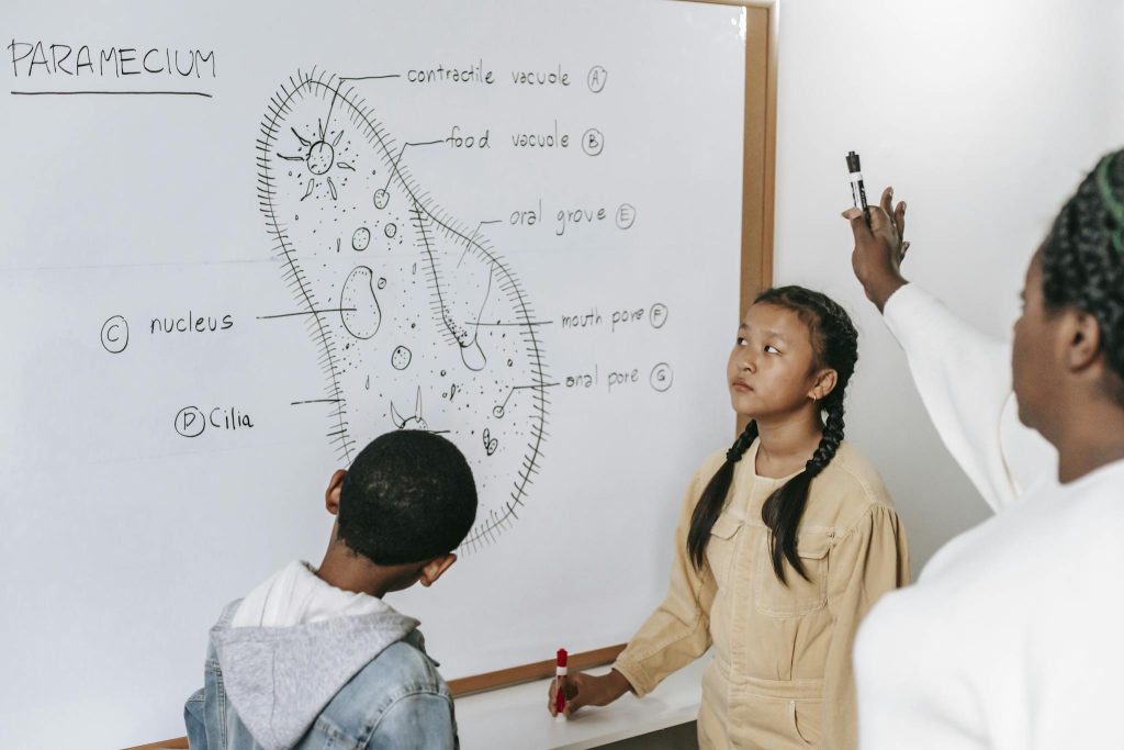 Crop African American woman explaining structure of Ciliate to diverse kids at whiteboard in classroom
